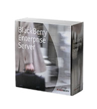 BlackBerry Enterprise Server 4.0 (BES) Software for Lotus Domino - Single User
