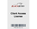 RIM™ SBE BlackBerry Enterprise Server CAL, 1 user